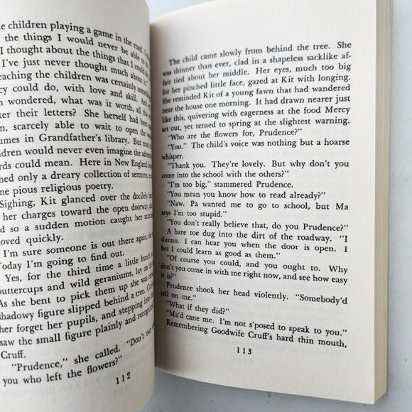 The Witch of Blackbird Pond Newbery Award Winner Paperback Book Fiction Chapter - Picture 6 of 11